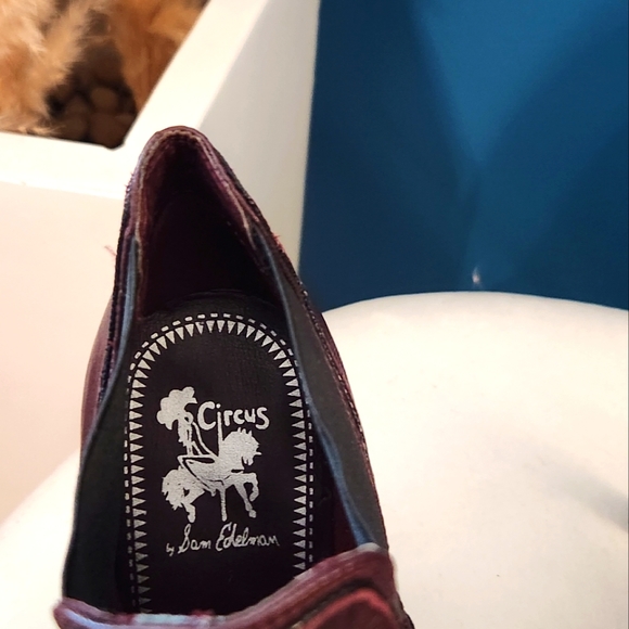 Circus by Sam Edelman Burgundy Leather Ankle Boots, Size 8.5. NWOT - Picture 3 of 4